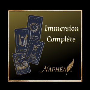🌙 Guidance Médiumnique - Immersion Complète (60 min)