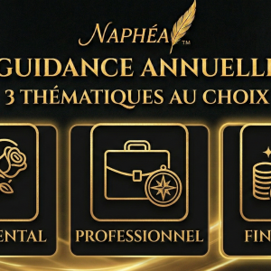 Guidance Annuelle & Prévisions (Sentimental, Pro, Finances)