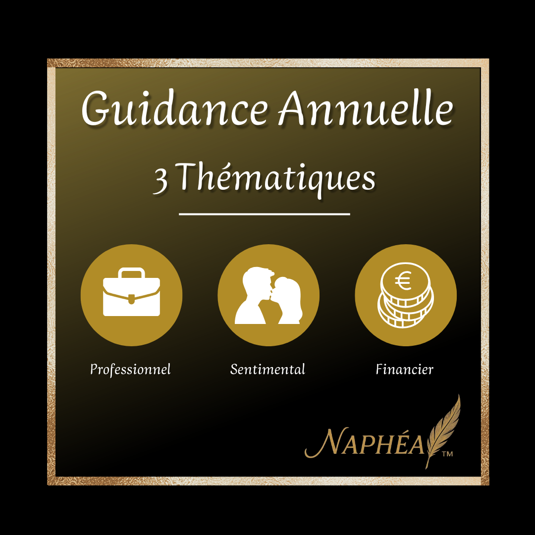 Guidance Annuelle & Prévisions (Sentimental, Pro, Finances)